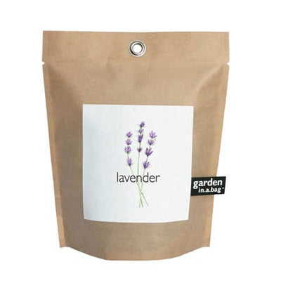 Grow fresh Lavender {Lavandula angustifolia} in a windowsill or any sunny spot indoors, year-round, directly in the leak proof bag. The leaves are intensely aromatic right from the start and said to have a relaxing effect.  The flowers are edible and can be used raw in salads, added to stews, used to season cookies, ice cream, candied or even brewed in tea. Lavender pairs especially well with dark chocolate.